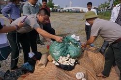 Hà Nội tiêu hủy 82 kg ngà voi
