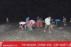 Nhiều người dân nghi hơn 2 tấn cá mòi dạt vào bờ biển Lộc Hà bị kích điện gây nên