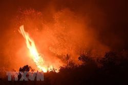 Indonesia chi bổ sung hơn 113 triệu USD để xử lý các đám cháy rừng
