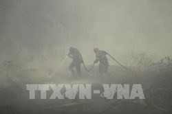 Indonesia sẽ chi thêm 113 triệu USD để dập tắt các đám cháy rừng
