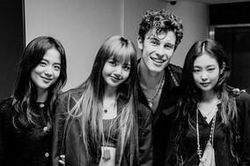 Không chỉ 'đổ bộ' show diễn tại xứ Kim Chi, 3 mẩu BlackPink còn khiến fan phấn khích với hình ảnh chụp cùng Shawn Mendes