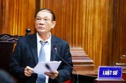 Đại diện Viện Kiểm sát và các luật sư tranh luận về 'thật-giả' của thuốc H-Capita