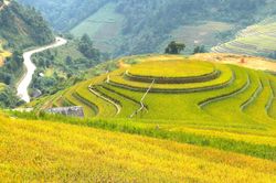 Quyến rũ ruộng bậc thang Mù Căng Chải