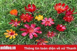 Biến rác thải nhựa thành vườn hoa