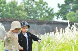 Đời sống Đời sống Khoảnh khắc cùng hoa tranh
