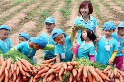 55/ 63 tỉnh, thành phố đang bị mất cân bằng giới tính khi sinh