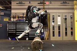 Robot Atlas có thể nhào lộn và tập thể dục như người