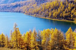 Tìm miền đất trời trùng ngộ, ngắm thu vàng ngút mắt bình nguyên