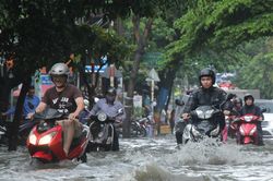 Triều cường đạt đỉnh, nhiều khu vực ở TP Hồ Chí Minh có thể ngập nặng