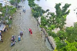 Mưa lớn kết hợp triều cường, đường phố Sài Gòn thành 'sông'