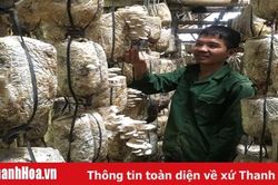 Chàng trai nghèo với khát vọng làm giàu