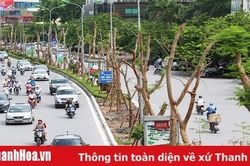 Nỗi lo mất cân bằng sinh thái
