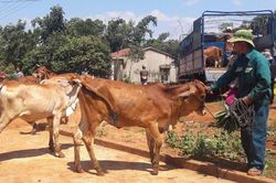 Krông Pa: Đẩy mạnh phong trào 'Dân vận khéo'