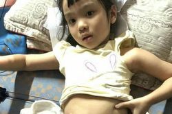 Cô bé chưa một ngày được đi vệ sinh bình thường nhận được nhiều sự hỗ trợ của bạn đọc