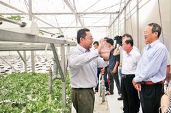 Phát triển du lịch nông nghiệp
