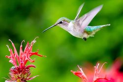 Tử vi ngày 1/10/2019: Tuổi Thân phù phiếm hao tiền, tuổi Tuất tự gây trở ngại