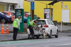 Cảnh sát New Zealand bắt giữ đối tượng đe dọa đánh bom ở thủ đô