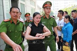 Hoãn phiên xét xử đường dây tổ chức mang thai hộ xuyên quốc gia