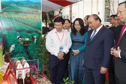 Thủ tướng: 'Dòng chảy thương mại cửa khẩu đọng lại phần nhỏ, Lạng Sơn sẽ khác'