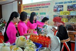 Xây dựng nông thôn mới ở Quảng Ninh: Nhiều chỉ tiêu vượt trội hơn so với cả nước