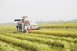 'Xây dựng nông thôn mới là quá trình liên tục, có điểm khởi đầu nhưng không có điểm kết thúc'