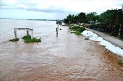 Lũ trên sông Cửu Long không ảnh hưởng đến sản xuất