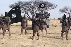 IS thừa nhận tiến hành các vụ tấn công ở Đông Bắc Nigeria