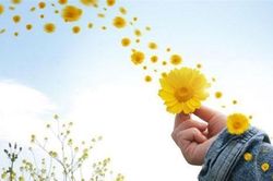 Con người đừng nghĩ hạnh phúc tự nhiên mà có, nó chỉ xuất hiện khi đảm bảo được điều kiện sau