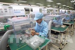Dự báo nhu cầu tuyển dụng tại TP.HCM trong 3 tháng cuối năm
