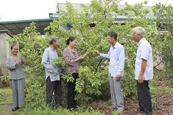Sân chơi bổ ích của người cao tuổi
