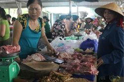 Kinh tế Nông nghiệp - Nông thôn Nguồn thịt lợn dịp tết sẽ không quá căng thẳng
