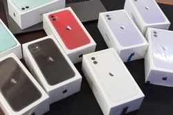 Quá nhiều loại iPhone 11 tại Việt Nam, người dùng nên mua máy nào?