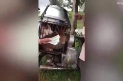 Người đàn ông trả tiền cứu 9 chú chó thoát khỏi cảnh bị mổ thịt