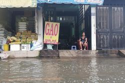 Chống chọi triều cường: Đường trăm tỷ vẫn ngập