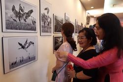 Trưng bày 63 tác phẩm ảnh nghệ thuật của các nữ nhiếp ảnh CLB Hải Âu