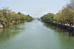 Ngắm tuyến đường cổ thụ đẹp mê mẩn của Cố đô Huế