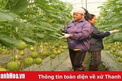 Hạ tầng và phát triển sản xuất: 'Bệ phóng' xây dựng nông thôn mới ở huyện Thọ Xuân