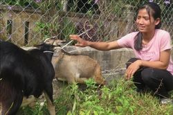 Chính trị - Xã hội Nỗi đau còn đó - Kỳ 2: Không là chuyện của riêng ai