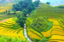 Đột phá từ môi trường đầu tư, Yên Bái hút hàng trăm dự án lớn