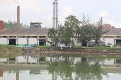 Nhà máy cồn gây ô nhiễm xin được hoạt động trở lại để hạn chế nguy cơ cháy nổ