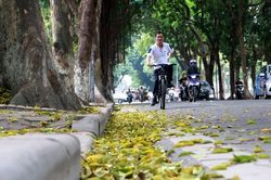 Hà Nội còn nắng nhưng đã bớt hanh khô và chớm có gió mùa