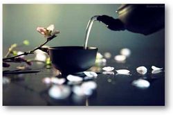 Muốn uống trà ngon, đầu tiên phải có chén rỗng