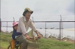 'Mẹ con đậu đũa' sau 22 năm: 'Đậu Đũa'đổi diện mạo; 'cha' lận đận tình duyên