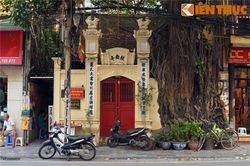 Kỳ lạ cây đa trăm tuổi trùm lên đình cổ giữa Hà Nội