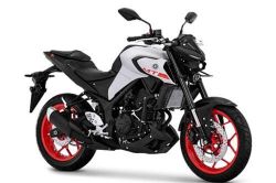 Yamaha MT-03 2020 trình làng với giá rẻ bất ngờ, quyết so kè Honda CB300R