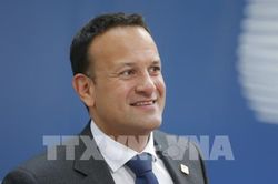 Ireland: Đề xuất của Anh không đáp ứng những mục tiêu đã được nhất trí