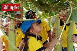Biến sản phẩm xơ mướp Việt Nam thành quà tặng bạn bè thế giới