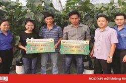 Tiếp sức giúp thanh niên lập nghiệp