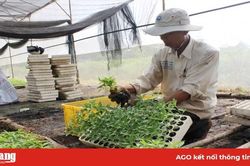 Mùa ươm cây giống