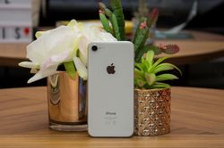 iPhone SE2 ra mắt năm 2020, chip giống iPhone 11